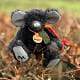 Irish Mohair Mouse Angus