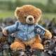 Cute Kitty Button Teddy