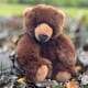 Brown Bear Cub