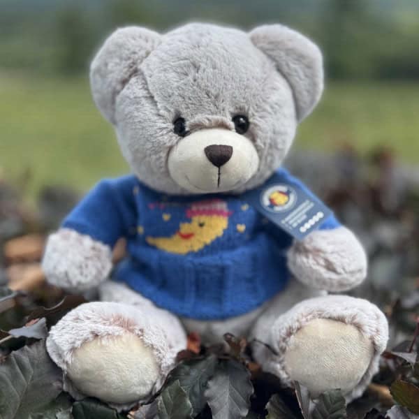 Soft Moon Teddy Bear