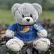 Soft Moon Teddy Bear
