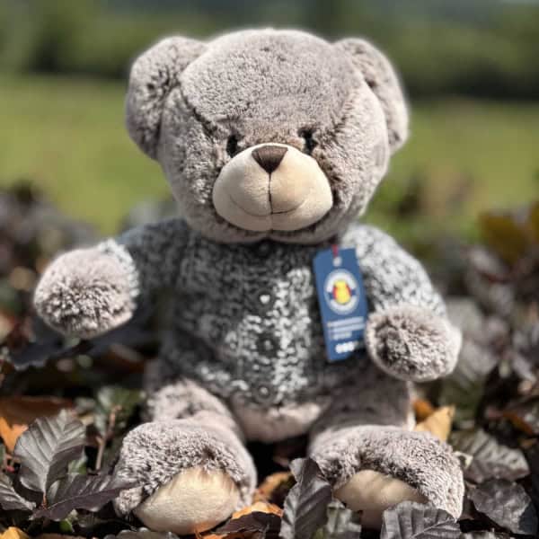 Mr Cardigan Teddy Bear