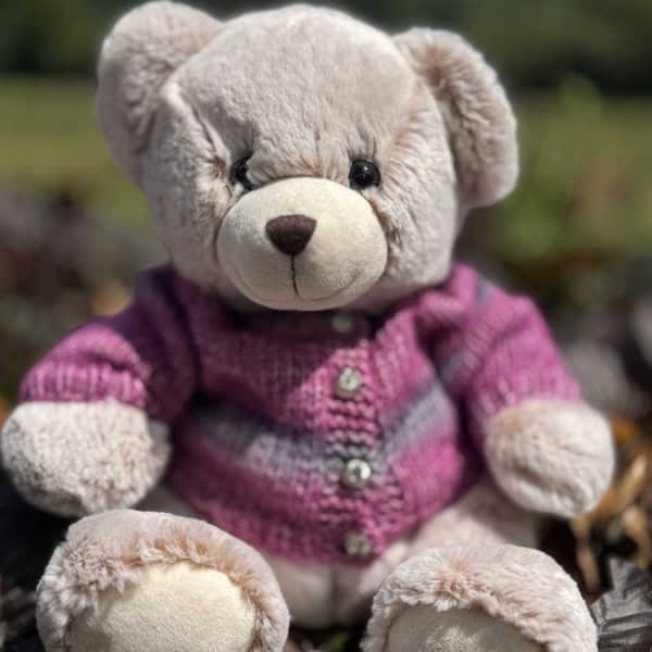 Cute Cardigan Teddy Bear