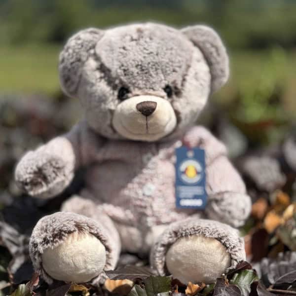 Flower Button Teddy Bear