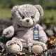 Flower Button Teddy Bear