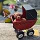 Decor Teddy Bear Pram